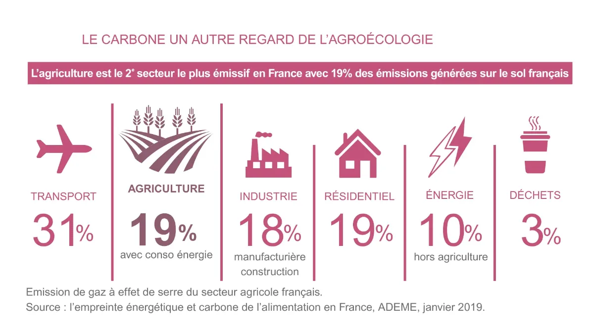 réduction des émissions carbone