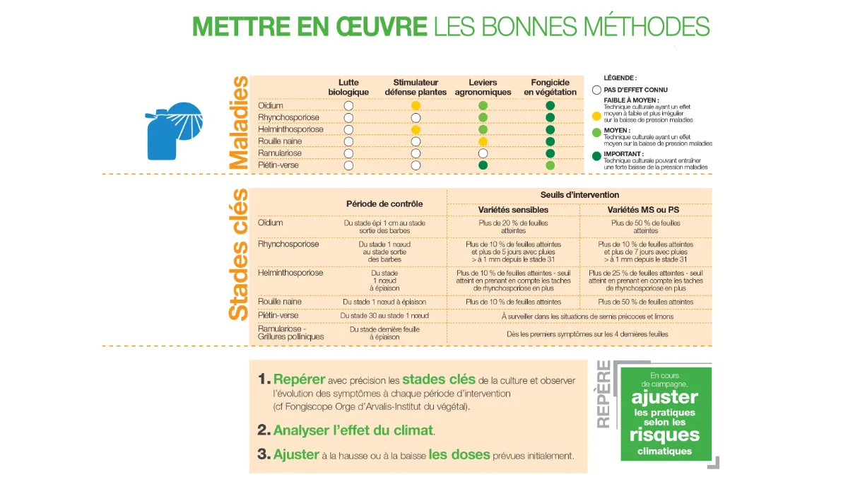 protection fongicide de l'orge : mettre en oeuvre les bonnes méthodes