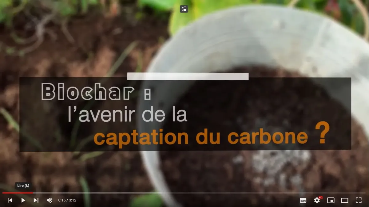biochar avenir de la captation du carbone