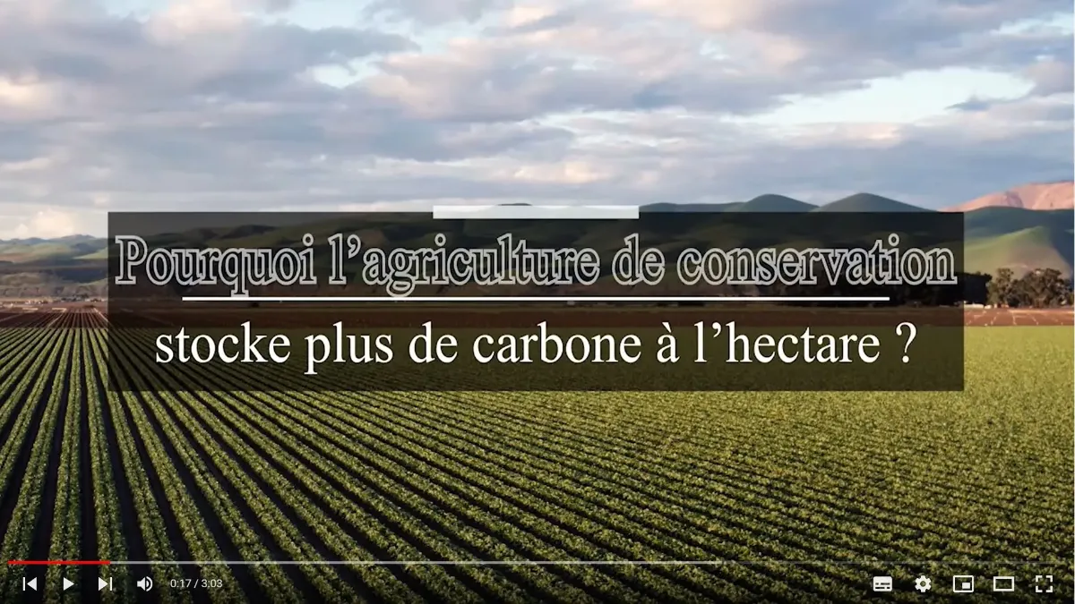 agriculture de conservation et carbone