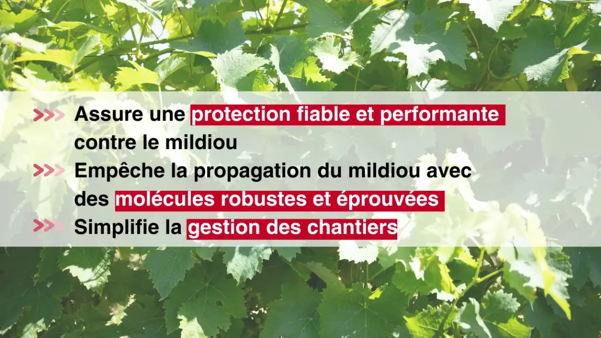 avantages enervin active et phosphonate