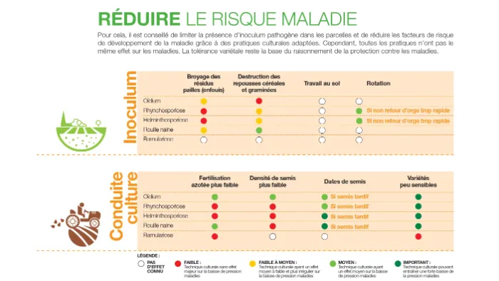protection fongicide de l'orge : réduire le risque maladie
