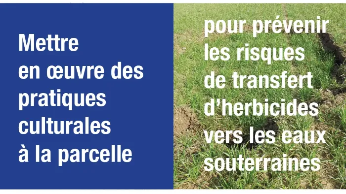 Mettre en oeuvre des pratiques culturales à la parcelle
