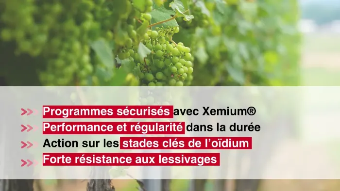 Yaris avantages produits